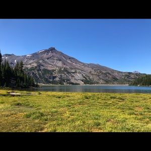 Meet your Posher, Julia